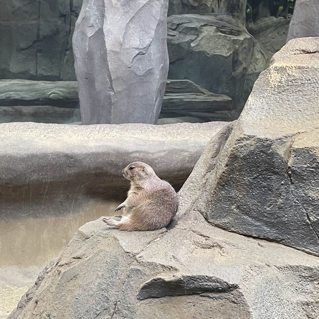 関西でおすすめの体験型動物園🐇🐅🐈🐕🦆