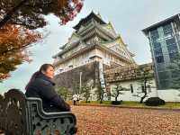🏯 ปราสาทโอซาก้า (Osaka Castle)🏯