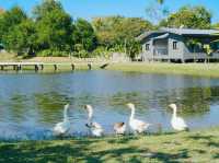 Chong Mafueng Camping  -ช่องมะเฟือง แคมป์ปิ้ง