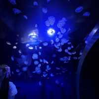 都内にある水族館！