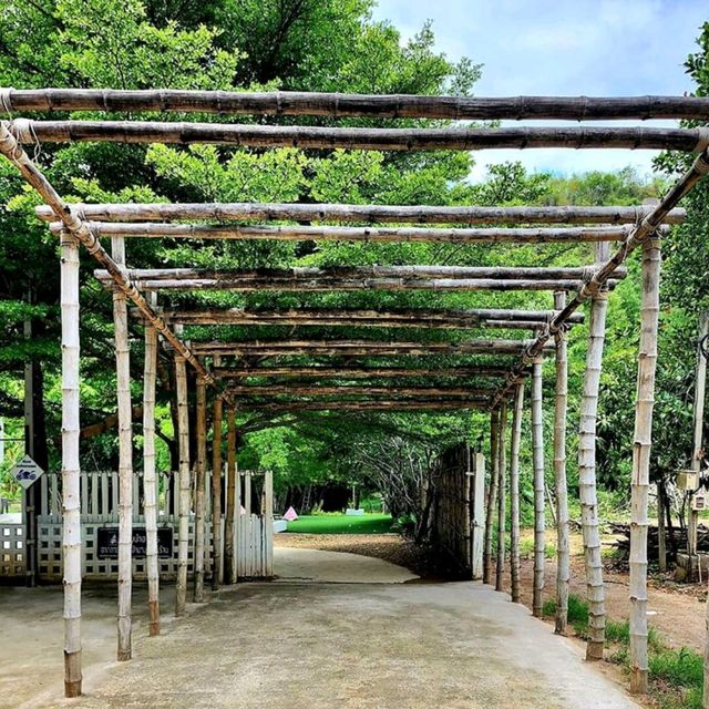 𝚃𝚑𝚊𝚖•𝚖𝚊•𝚌𝚑𝚊𝚛𝚝 𝙲𝚊𝚏𝚎' 🌿 คาเฟ่ใกล้ชิดธรรมชาติ🍃