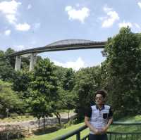 สะพานคลื่น henderson waves สิงคโปร์