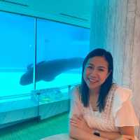 🐬🍨日本福岡 不能錯過的水族館餐廳😍