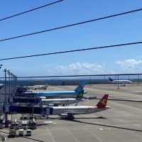 【空の旅☁️】大韓航空:中部国際空港→仁川空港