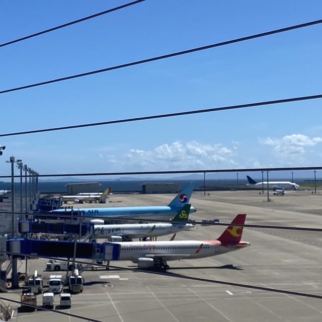 【空の旅☁️】大韓航空:中部国際空港→仁川空港