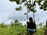 Sea of Clouds in Kalinga 🇵🇭