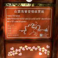 登頂天遊峰