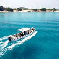 【沖縄 座間味島】ケラマブルーの海でシュノーケリング🌊🌺