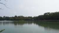 🏞️ 高雄澄清湖一日遊 🗺️