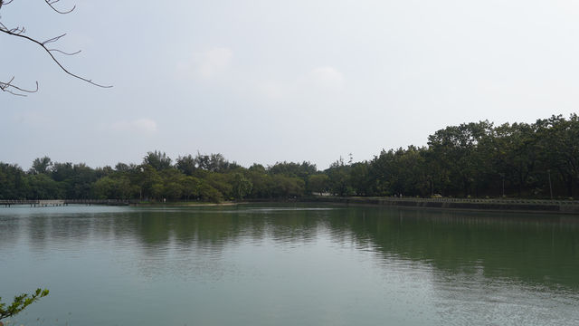 🏞️ 高雄澄清湖一日遊 🗺️