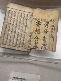 中醫的秘密🌿📚💫 廣東中醫藥博物館