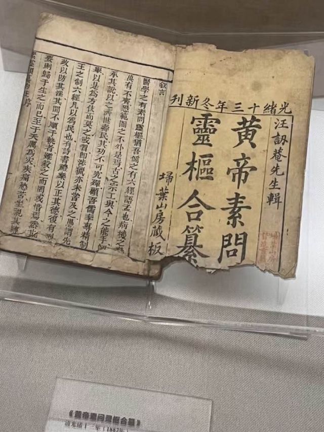 中醫的秘密🌿📚💫 廣東中醫藥博物館