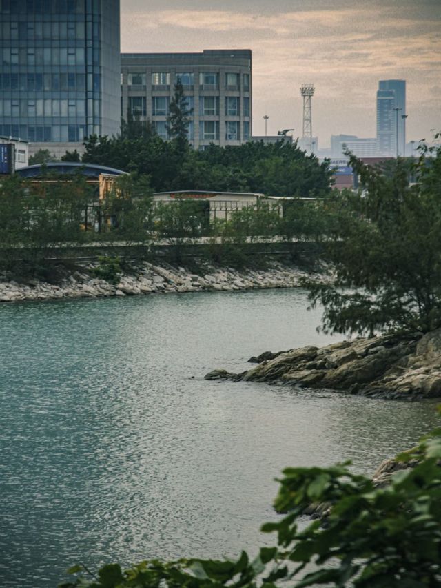 煙墩山國際友好公園～塔樓、貨櫃場與綠意繽紛！🗼🚢🌳🌈