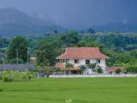 DaraDao Cafe  ร้านกาแฟกลางทุ่งนา