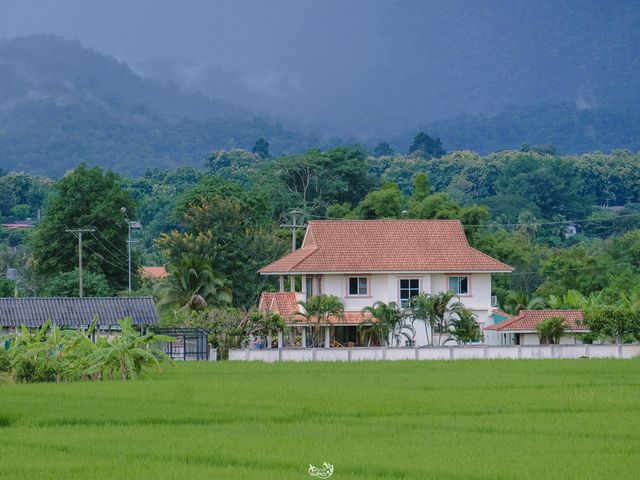 DaraDao Cafe  ร้านกาแฟกลางทุ่งนา