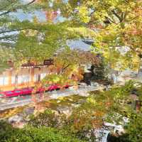 【長野県/美しい紅葉🍁と庭園を縁側から眺められるお寺】