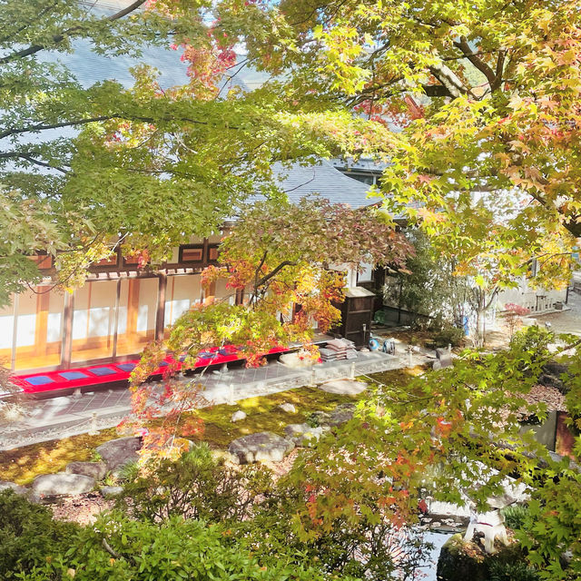 【長野県/美しい紅葉🍁と庭園を縁側から眺められるお寺】