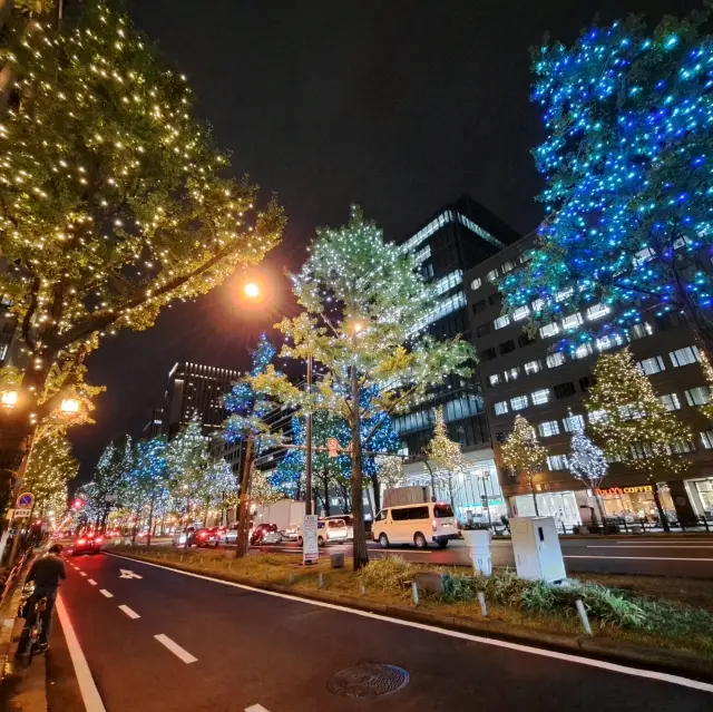 【大阪】映える！御堂筋のライトアップ