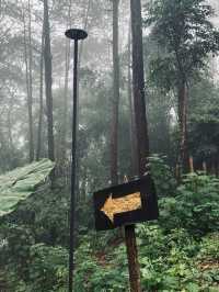 คาเฟ่…บนดอย สวนคุณปู่ Life Museum
