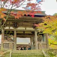 Saimyoji Serenity: Autumn's Radiance Revealed