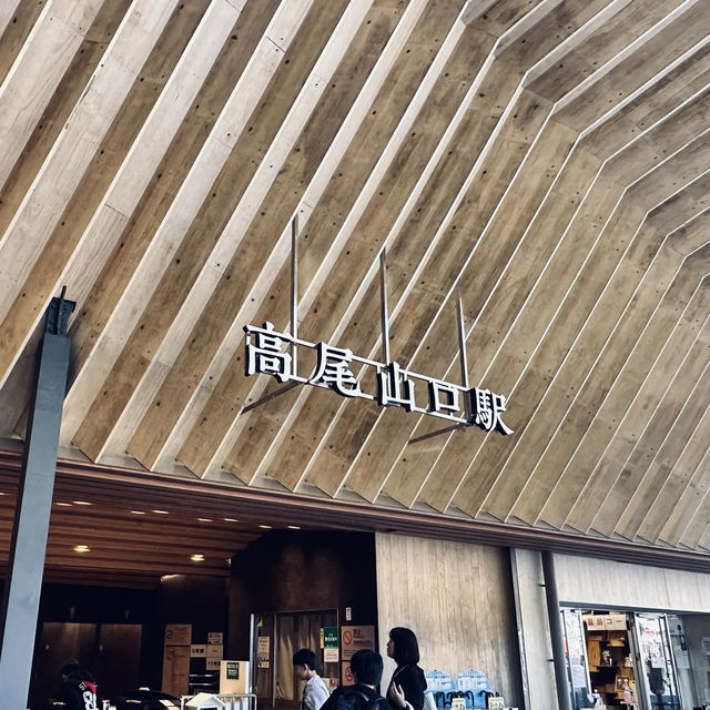 東京紅葉實況