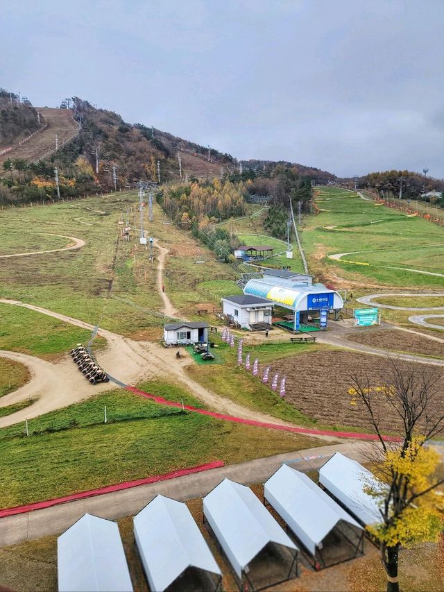 올드한듯 클래식한 슬로프 뷰가 멋진 객실이 있는곳✨️