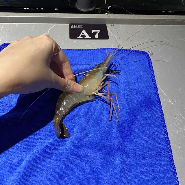 超適合打卡！新潮特式釣蝦場🦐🦐