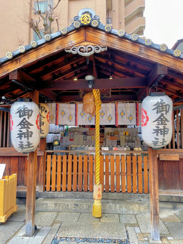 【京都】金運UP最強パワースポット！金の鳥居が目印⛩御金神社💰