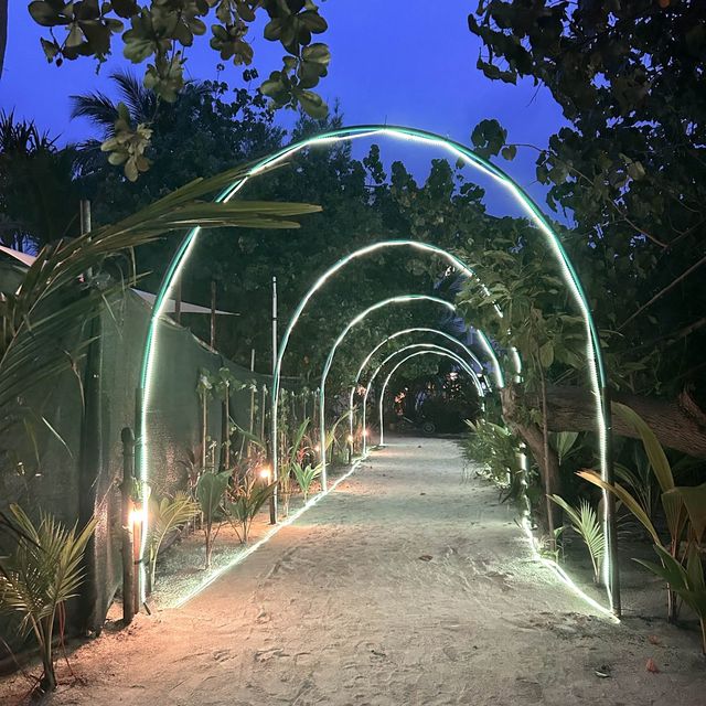 A Perfect Oasis and memorable experience 