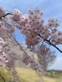 熱海の高台に集まる芸術 MOA美術館！