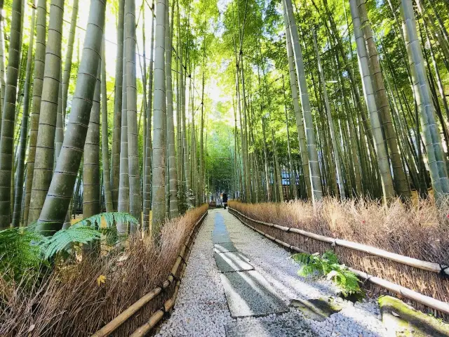 法規寺。