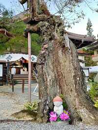 【長野県/元善光寺】もう1つの善光寺
