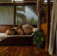 Behind the mountain camping