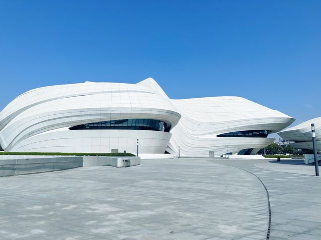 Meixihu International Culture and Arts Center