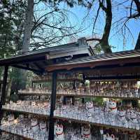 🇯🇵東京最新打卡點：豪德寺⛩️ 打卡招財貓大爆發🐱🤑