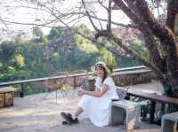 ไร่กาแฟครอบครัวมะ@ดอยปางขอน เชียงราย