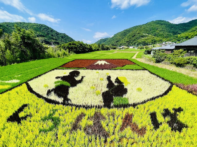 A Rice Field full of Art