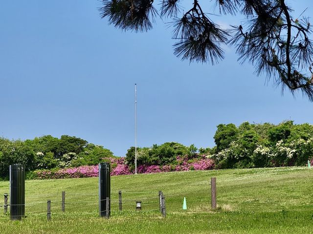 Uminonakamichi Seaside Park