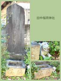 【田中稲荷神社/東京都】尻尾の太く可愛いらしい狐像がお出迎え