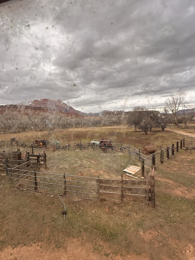 Time stood still in Grafton Ghost Town, Utah