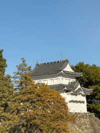 日本好去處｜拜訪三大名城之一「名古屋城」