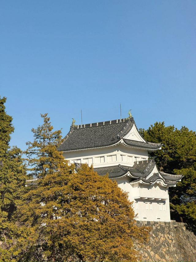 日本好去處｜拜訪三大名城之一「名古屋城」