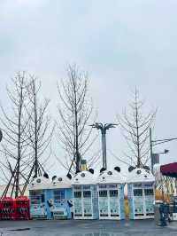 🐼 เยือนถิ่นแพนด้ายักษ์ 🐼 ‘เฉิงตู’ 🇨🇳