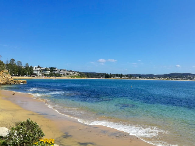 Terrigal Beach