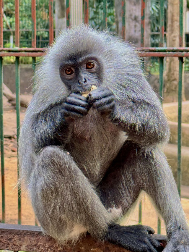 Saigon Zoo and Botanical Garden