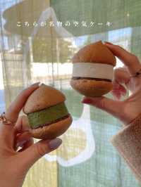 【奈良】不思議な食感のケーキが名物のカフェ