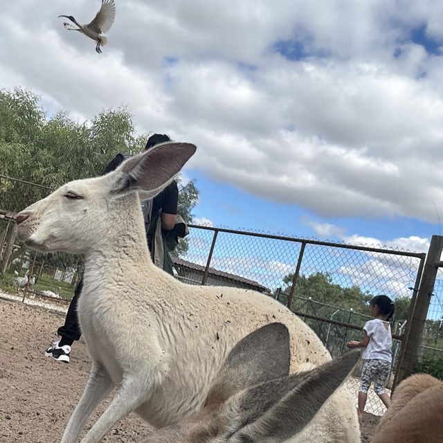 PERTH ZOO