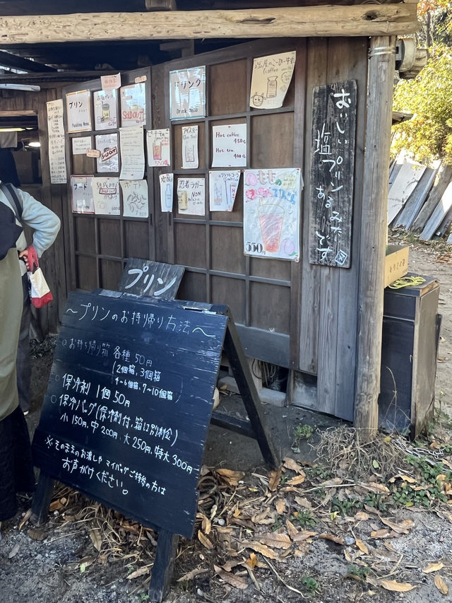 美味しい塩プリンあるみたいです【またいちの塩】🍮