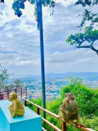 Monkey Hill Viewpoint 