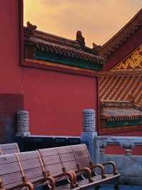 北京丨紅墻內的景色丨北京故宮博物院